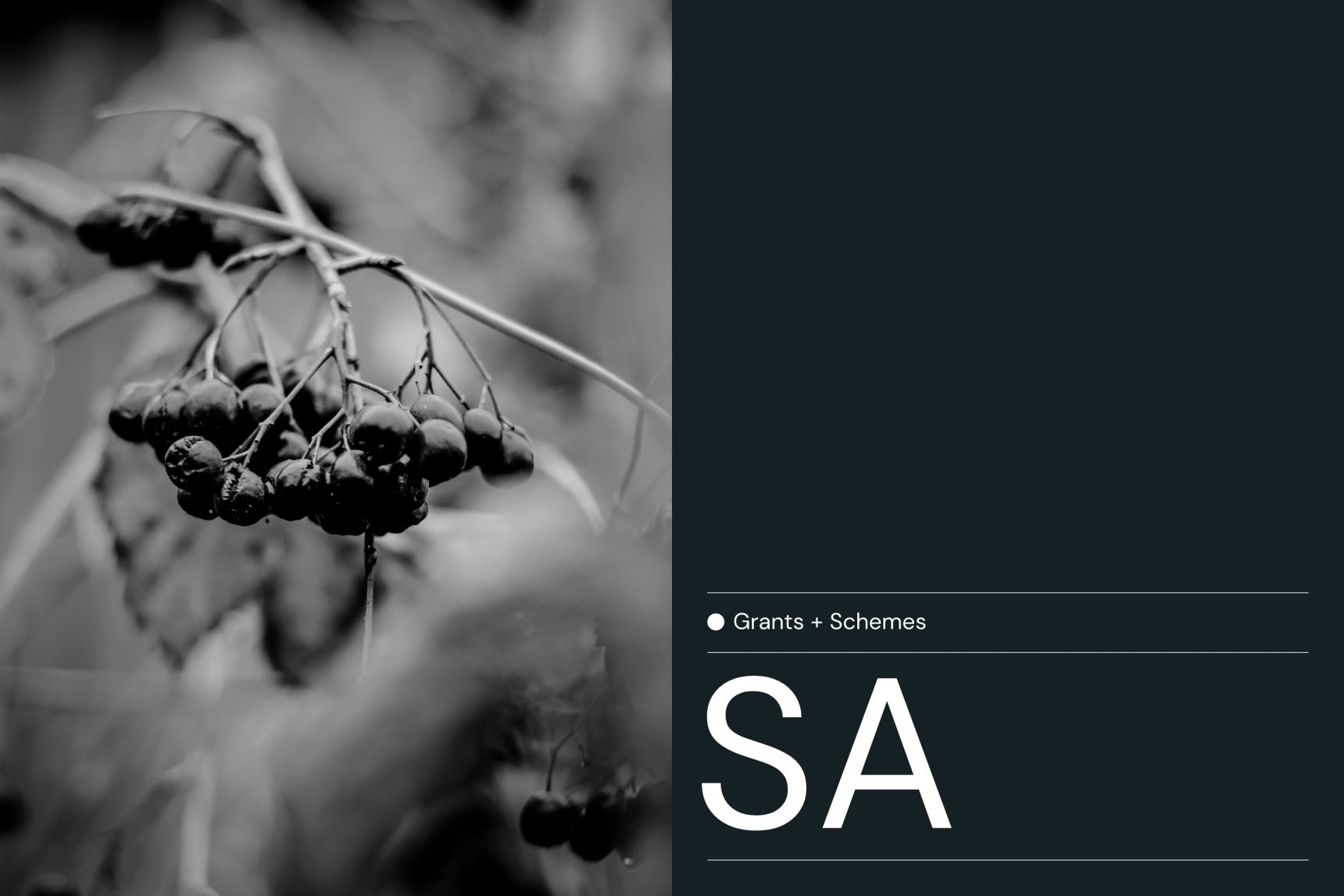 All first home buyer grants and schemes available in 2023 a guide