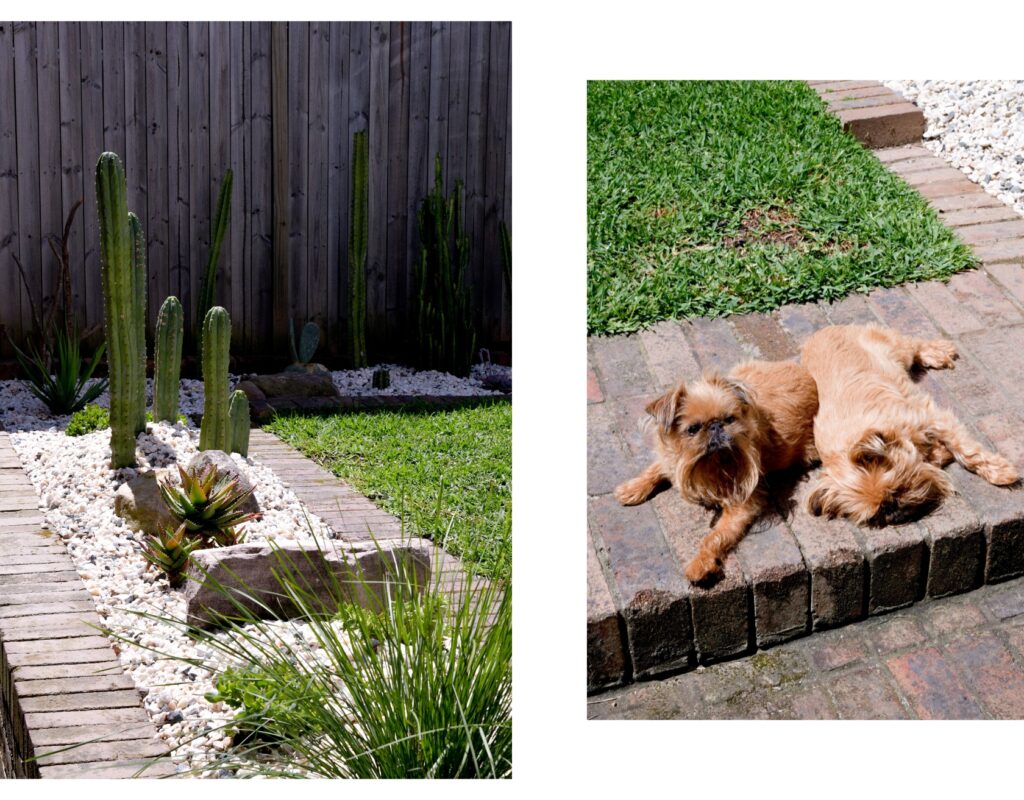 Abbie and Tina enjoying their new backyard