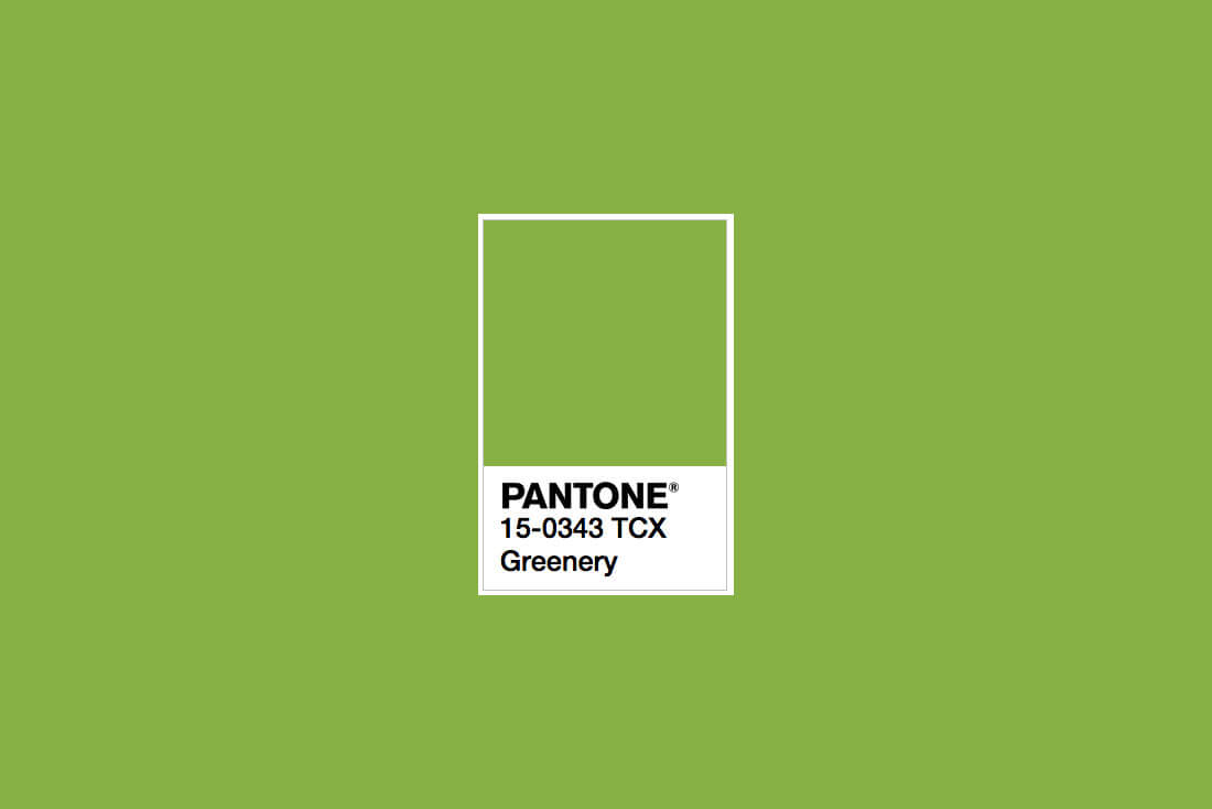 Pantone S 17 Colour Predictions Released Pure Finance